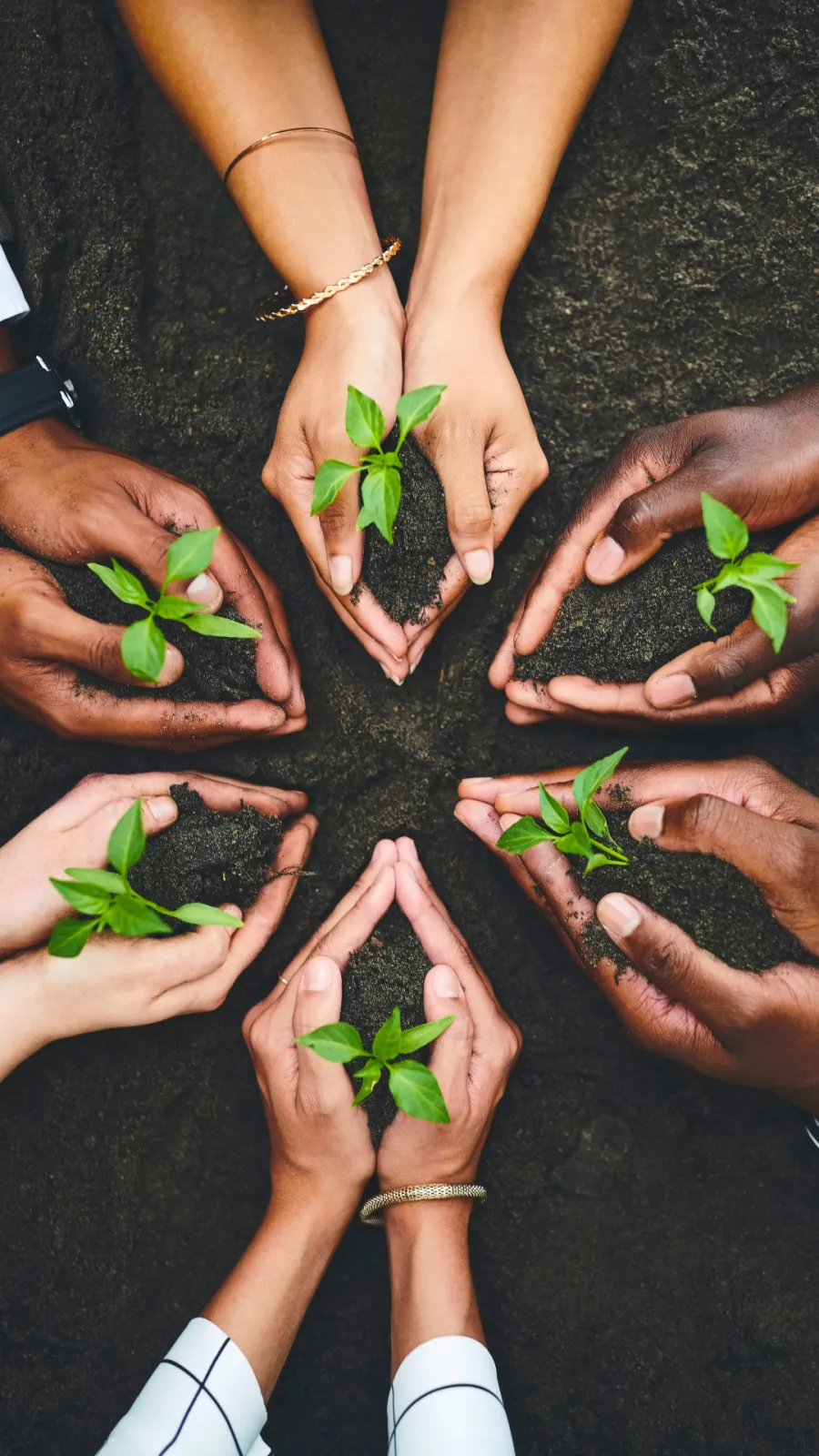 Mãos de pessoas diversas dispostas em círculo, cada uma segurando uma pequena muda verde com terra